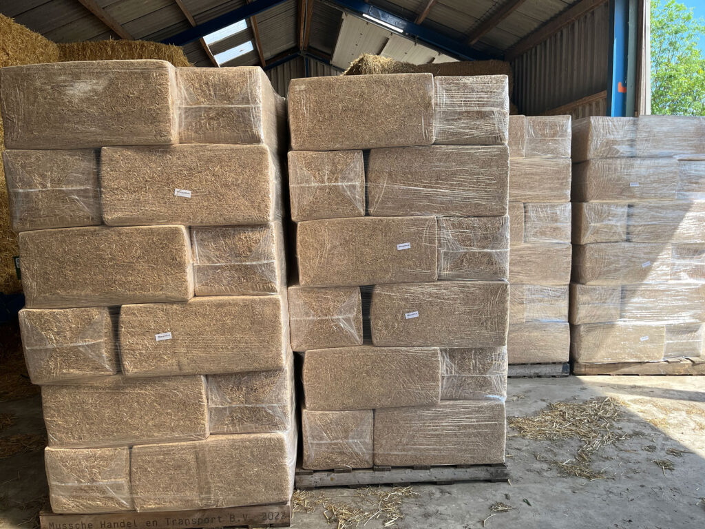 Groninger-Miscanthus bodembedekking